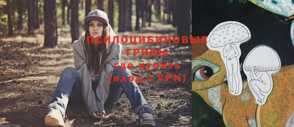 бутират Алексеевка