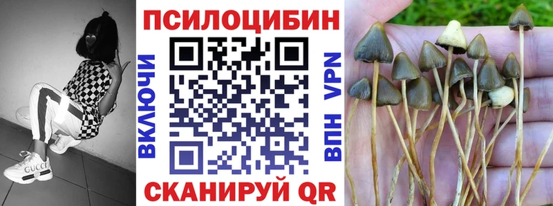 Галлюциногенные грибы Magic Shrooms  Чусовой 